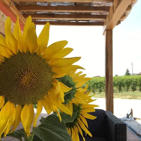 La Ratta Séjour à la ferme *