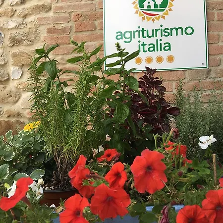 La Ratta * Vernasca