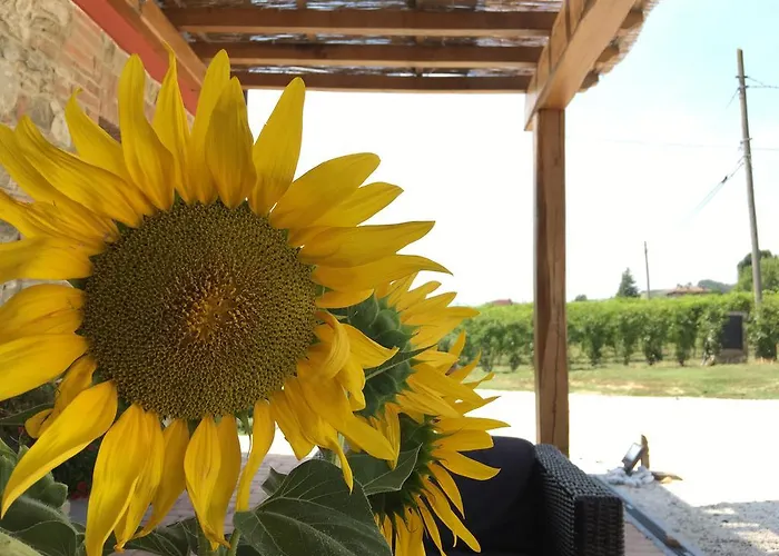 La Ratta Séjour à la ferme *